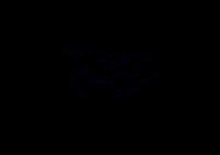 FP_145-4F011