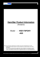 HannStar_HSD170PGW1-A00_0