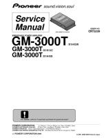 Pioneer_GM-3000T