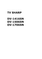 Sharp_DV-1416SN