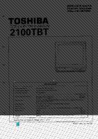 Toshiba_2100TBT_1
